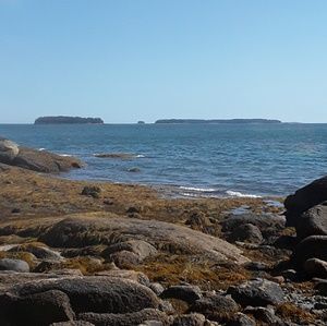 Meet your Posher, Marcus